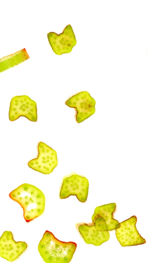 ""