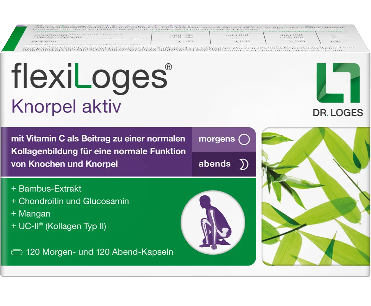 Verpackung von flexiLoges Knorpel aktiv 