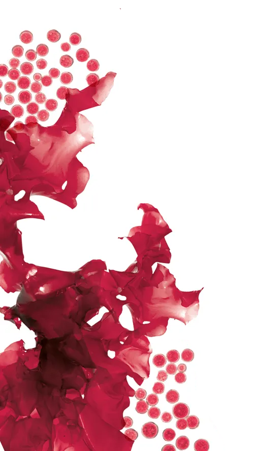 ""